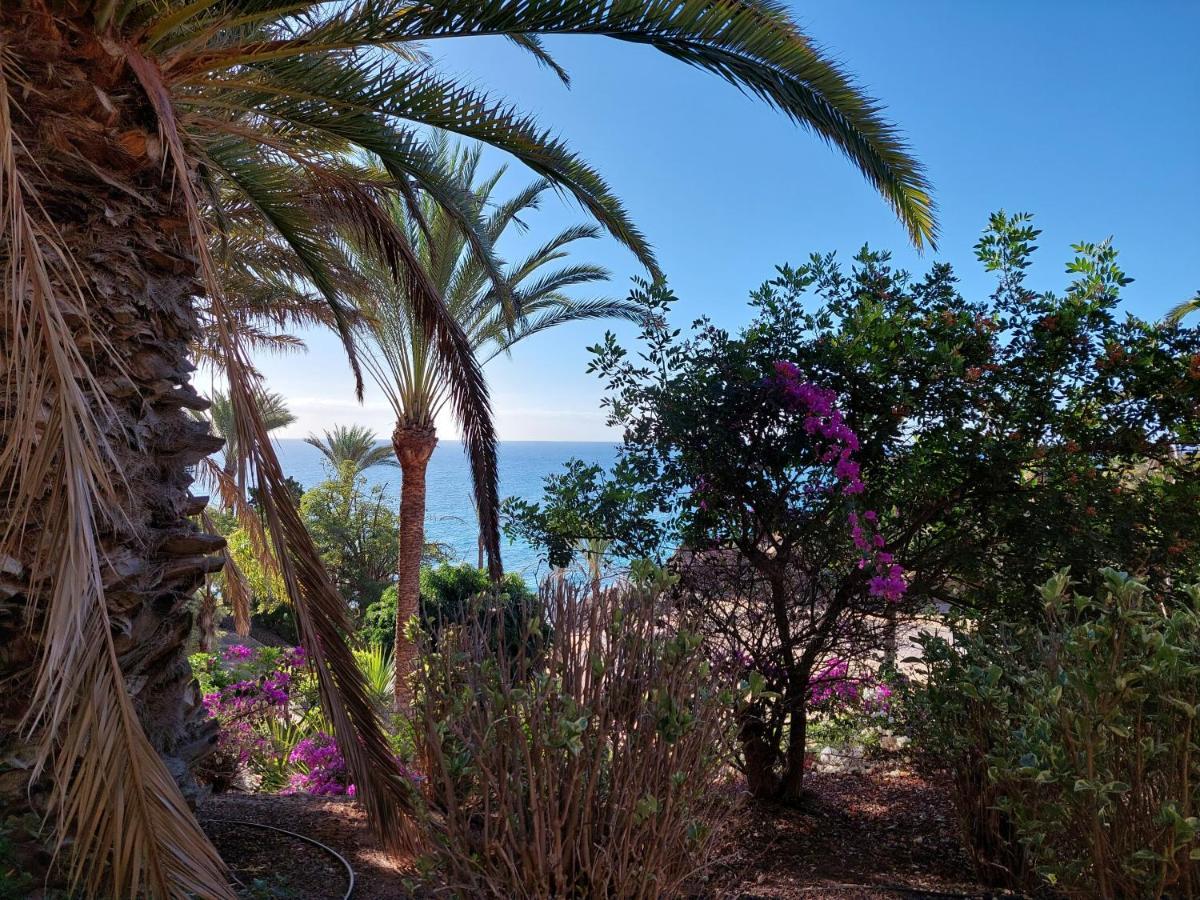 מורו דל חאבלה Estudio Espectacular Vista Mar מראה חיצוני תמונה